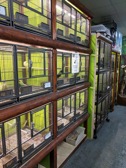 Jungle Pets Picture 2