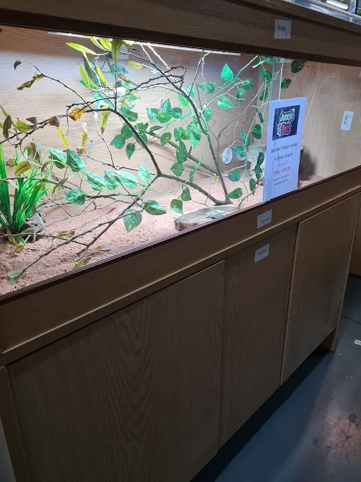 Jungle Pets Picture 10