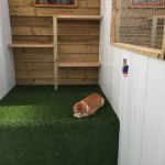 Valley Cats
