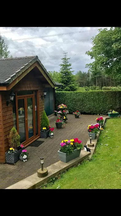 Lakeside Country Cattery Picture 1