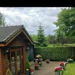 Lakeside Country Cattery