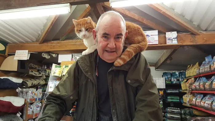 Toms Cattery Picture 4