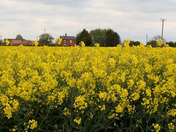 Barker's Boarding Kennels and Cattery Picture 1