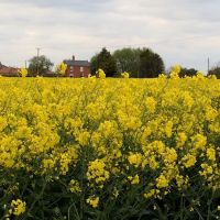 Barker's Boarding Kennels and Cattery ico