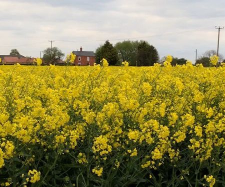 Barker's Boarding Kennels and Cattery