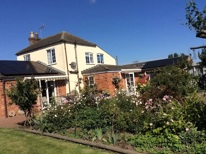 KARENANNE DEVON REX CATS Picture 1