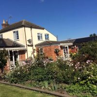 KARENANNE DEVON REX CATS ico