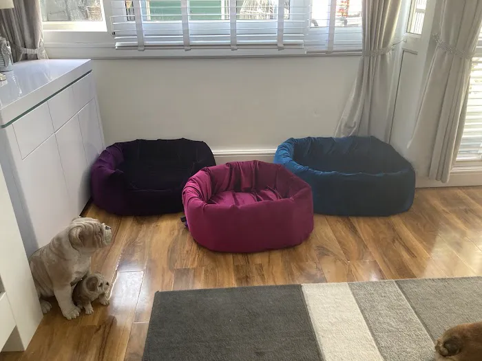 Nikki's Nesties Picture 2