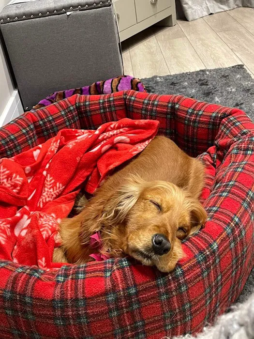 Nikki's Nesties Picture 7