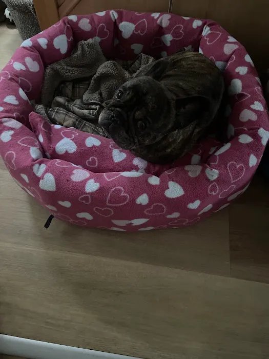 Nikki's Nesties Picture 6