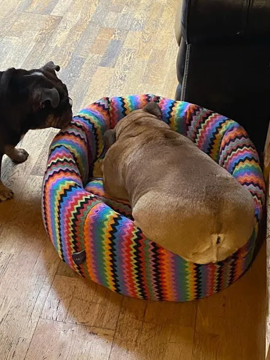 Nikki's Nesties Picture 10