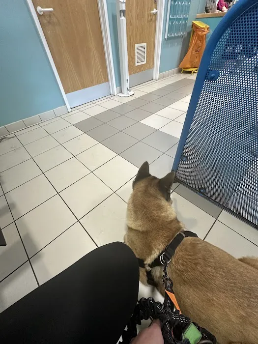 Leicester PDSA Pet Hospital Picture 8