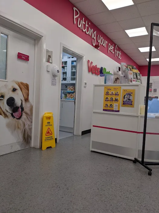 Vets for Pets - Leicester Central Picture 1