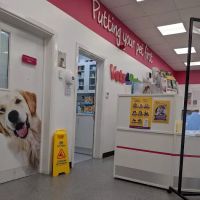 Vets for Pets - Leicester Central ico