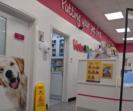 Vets for Pets - Leicester Central