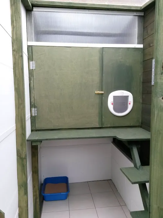 Comfy Cats Cattery Picture 4