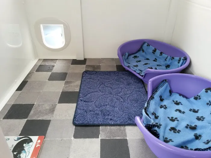 Comfy Cats Cattery Picture 8