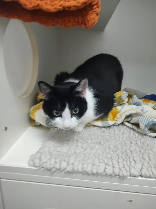 Vets4Pets Leicester Fosse Park Picture 1