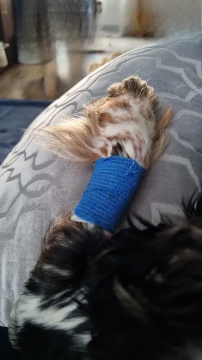 Vets4Pets Leicester Fosse Park Picture 4