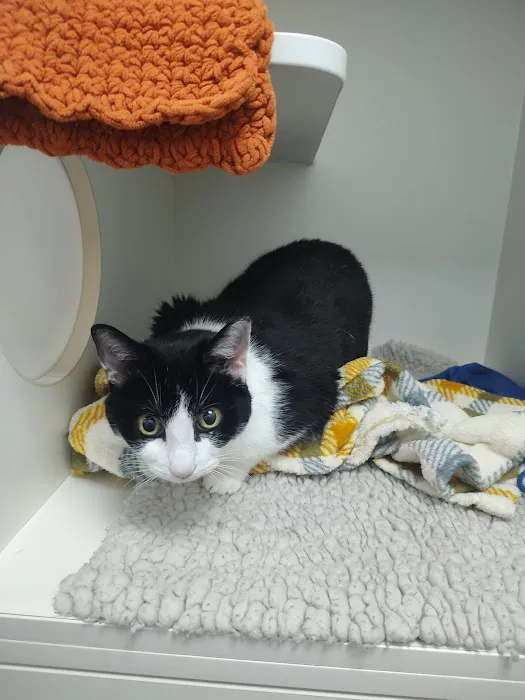 Vets4Pets Leicester Fosse Park Picture 10