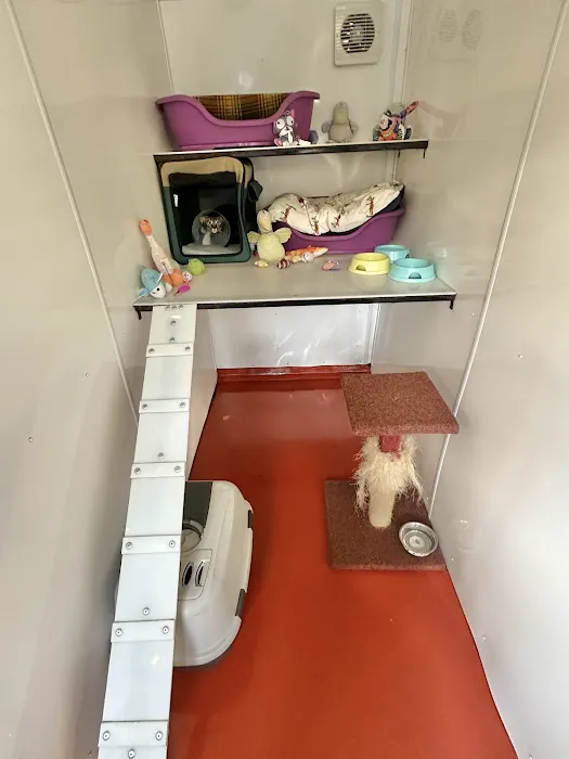 The Runtlings Cattery Picture 1