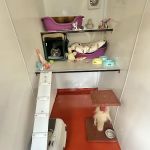 The Runtlings Cattery