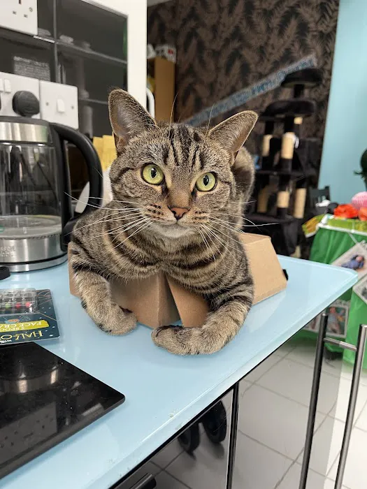 Vets for Pets Oadby Picture 4