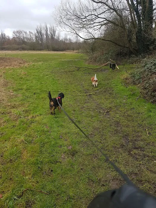 Vets for Pets Oadby Picture 10