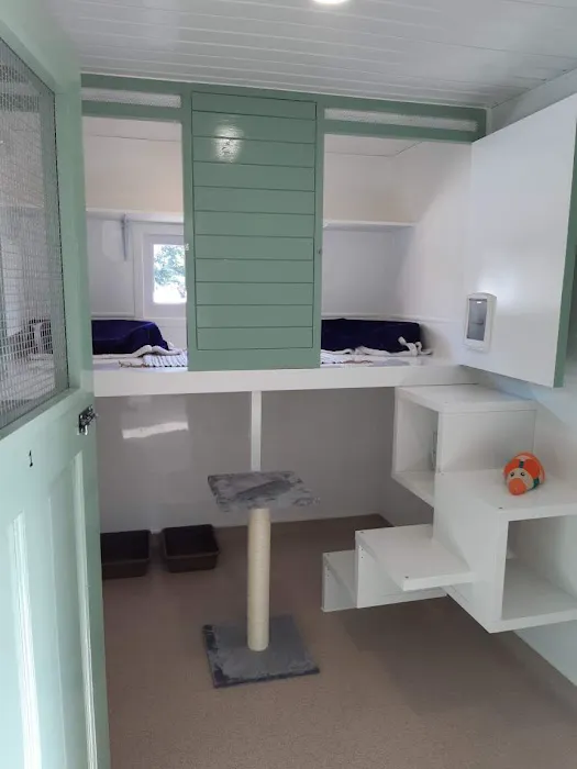 Hall Park Barn Cattery Picture 2