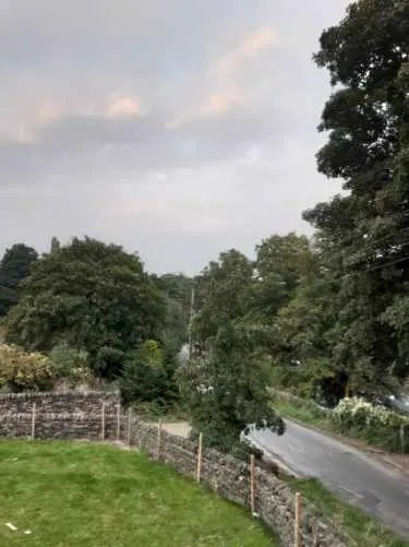 Hall Park Barn Cattery Picture 7