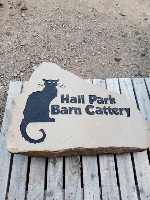 Hall Park Barn Cattery Picture 6