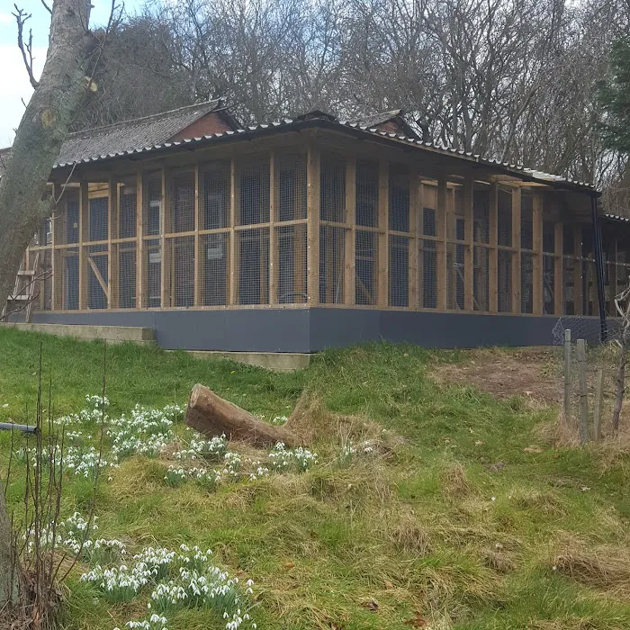The Glade Cattery Picture 8