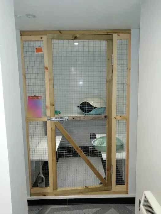 The Glade Cattery Picture 7