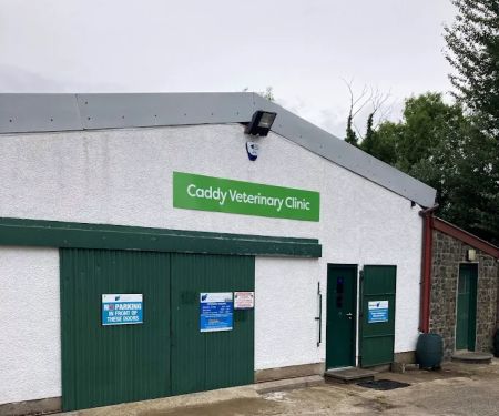 Caddy Veterinary Clinic