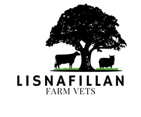 Lisnafillan Farm Vets