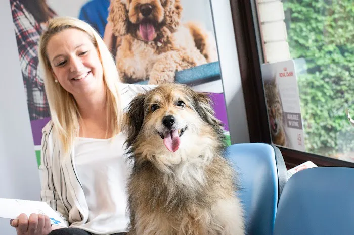 Fenaghy Veterinary Clinic Picture 4
