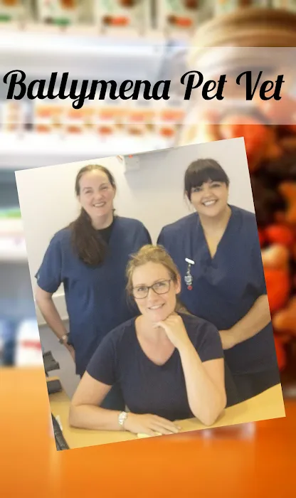 Ballymena Pet Vets Picture 3