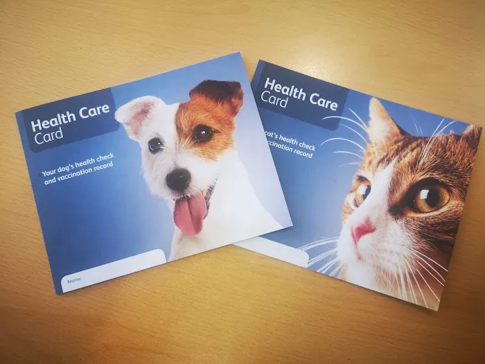 Ballymena Pet Vets Picture 6
