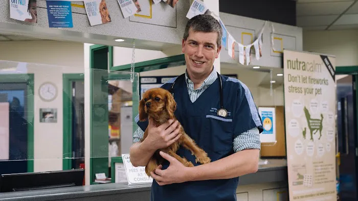 Grove Vets, Ballymena Picture 9