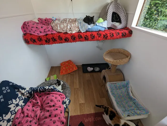The Stables Cattery Aldergrove Picture 2