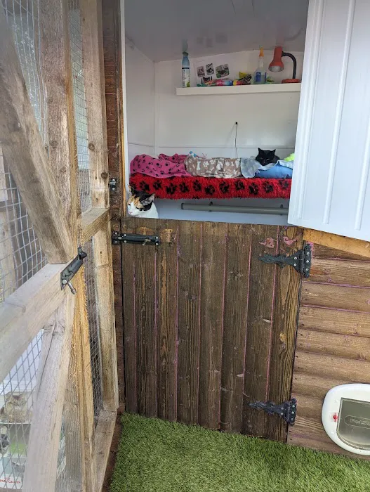 The Stables Cattery Aldergrove Picture 6