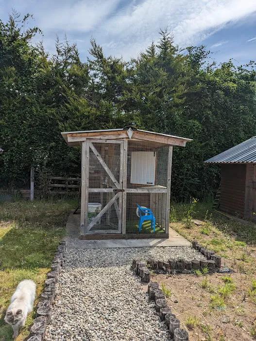 The Stables Cattery Aldergrove Picture 7