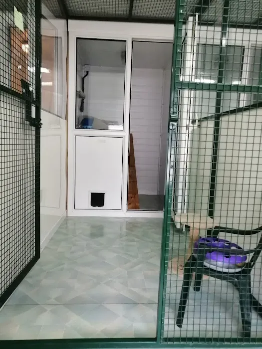 Crookedstone Cattery Picture 1