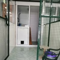Crookedstone Cattery ico