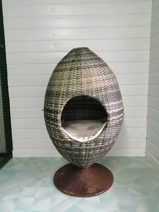 Crookedstone Cattery Picture 4