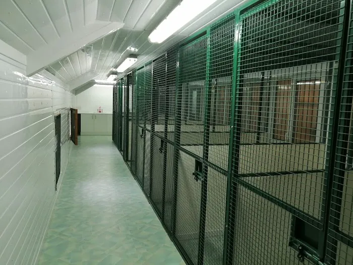 Crookedstone Cattery Picture 9