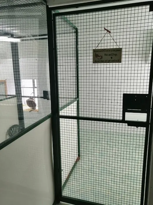 Crookedstone Cattery Picture 10