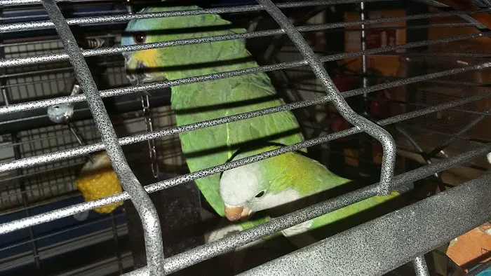 Falsgrave Petshop Picture 3