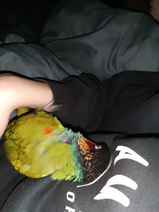 Falsgrave Petshop Picture 6