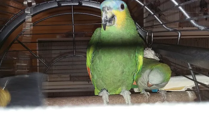 Falsgrave Petshop Picture 8